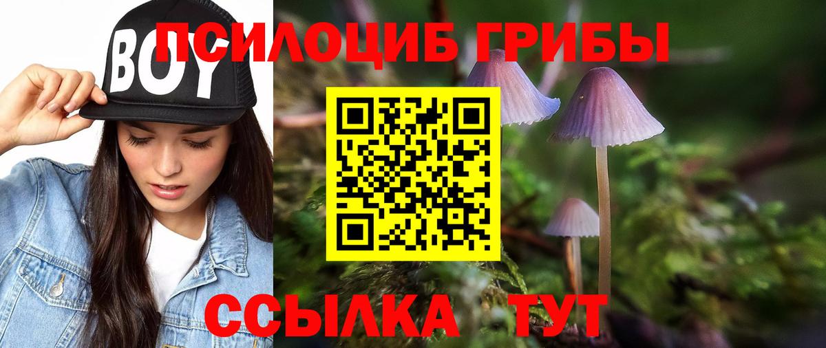 Заволжье  Галлюциногенные грибы мицелий  Вход с VPN 